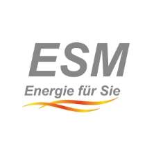 esm 1