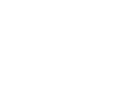 logo sel gmbh weiß